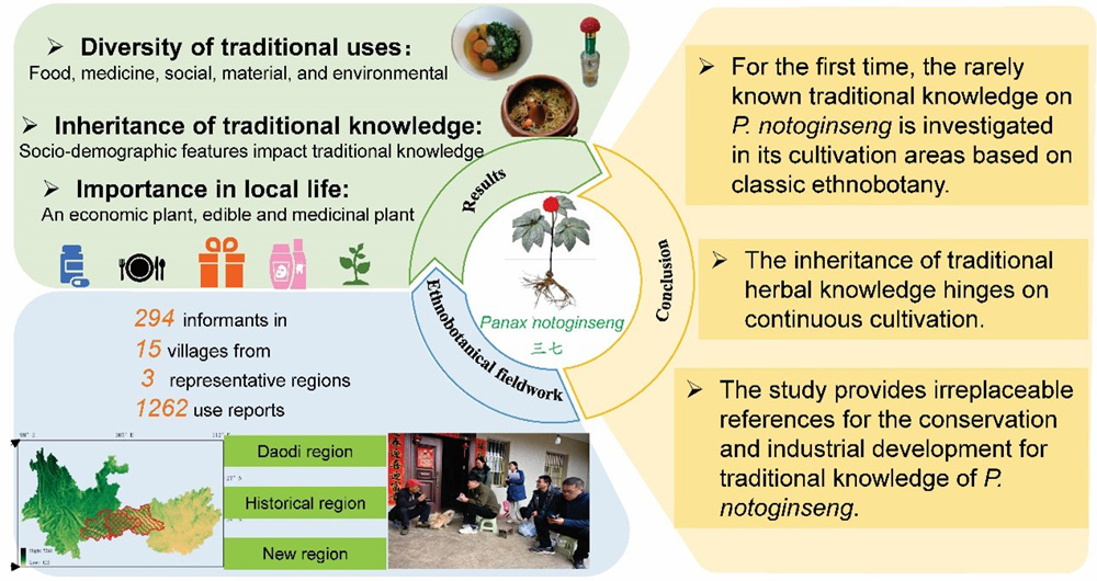 The rarely known traditional knowledge on well-known medicinal plants: a case study of Panax notoginseng